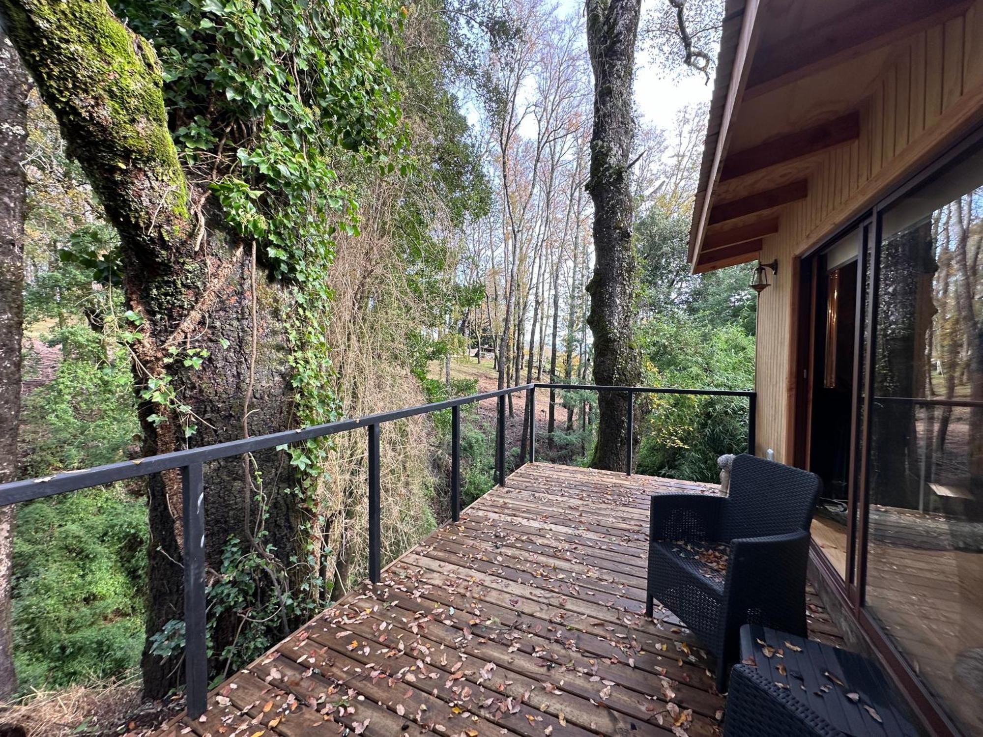 Apartamento Rio Y Playa, Sector Carmelito, *
